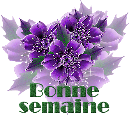 BONNE SOIREE ET BONNE SEMAINE A TOUS ET TOUTES