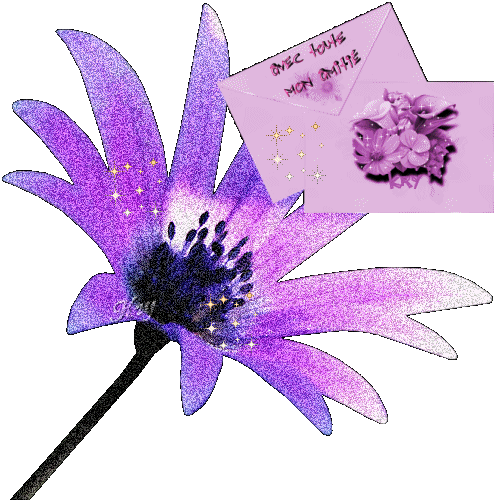 LA SEMAINE DE L 'AMITIEE TRES JOLIE SEMAINE