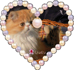 MERCI MA CHERIE JE T'EMBRASSE TRES FORT