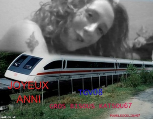 JOYEUX ANNI A MON AMI TGV08 LE 14 NOVEMBRE