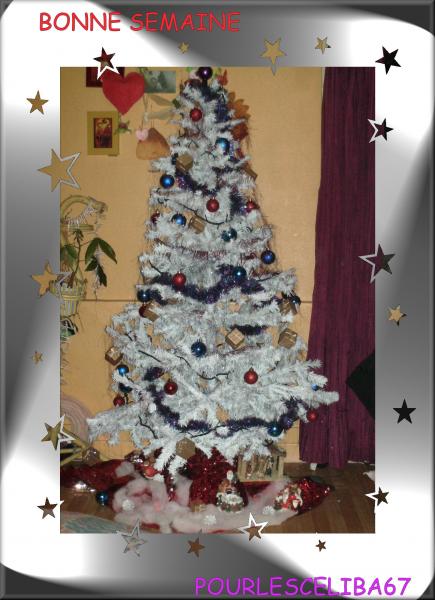 BONNE SEMAINE A TOUS ET TOUTES PLEINS DE BISOUS