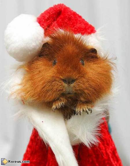 BON VENDREDI A VOUS TOUS ET TOUTES KISS