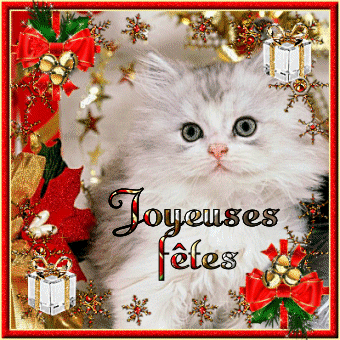 BONNE SEMAINE ET BONNES F�TES A VOUS TOUS ET TOUTES KISS CARO