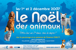 LE NOEL DES ANIMAUX (ARTICLE A LIRE)merci
